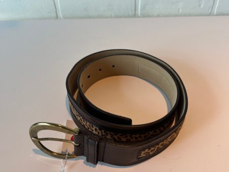 Belt By Calvin Klein, Size: Large Online Sale