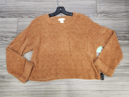 Sweater By Altard State In Brown, Size: M Fashion